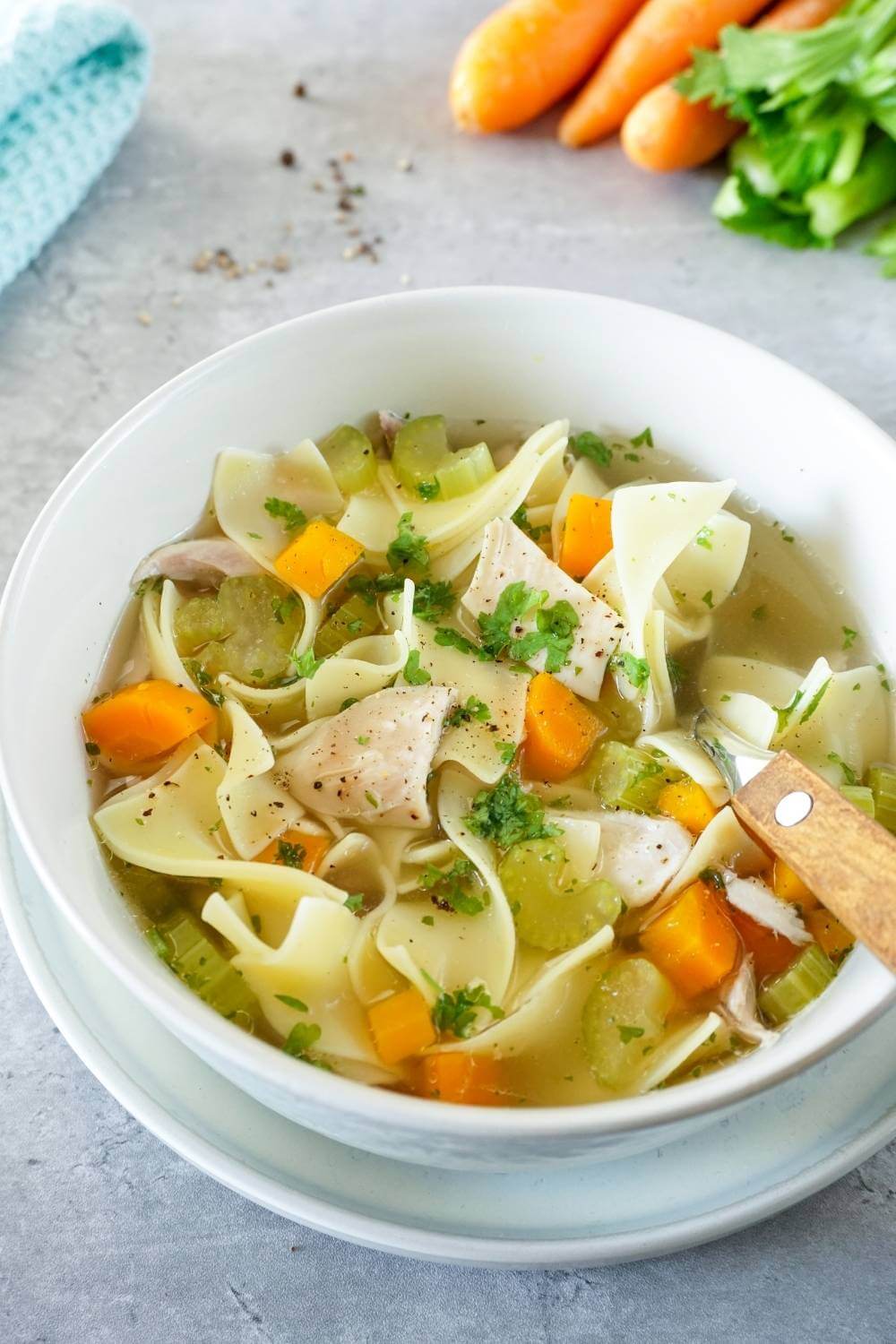 Homemade german chicken noodle soup